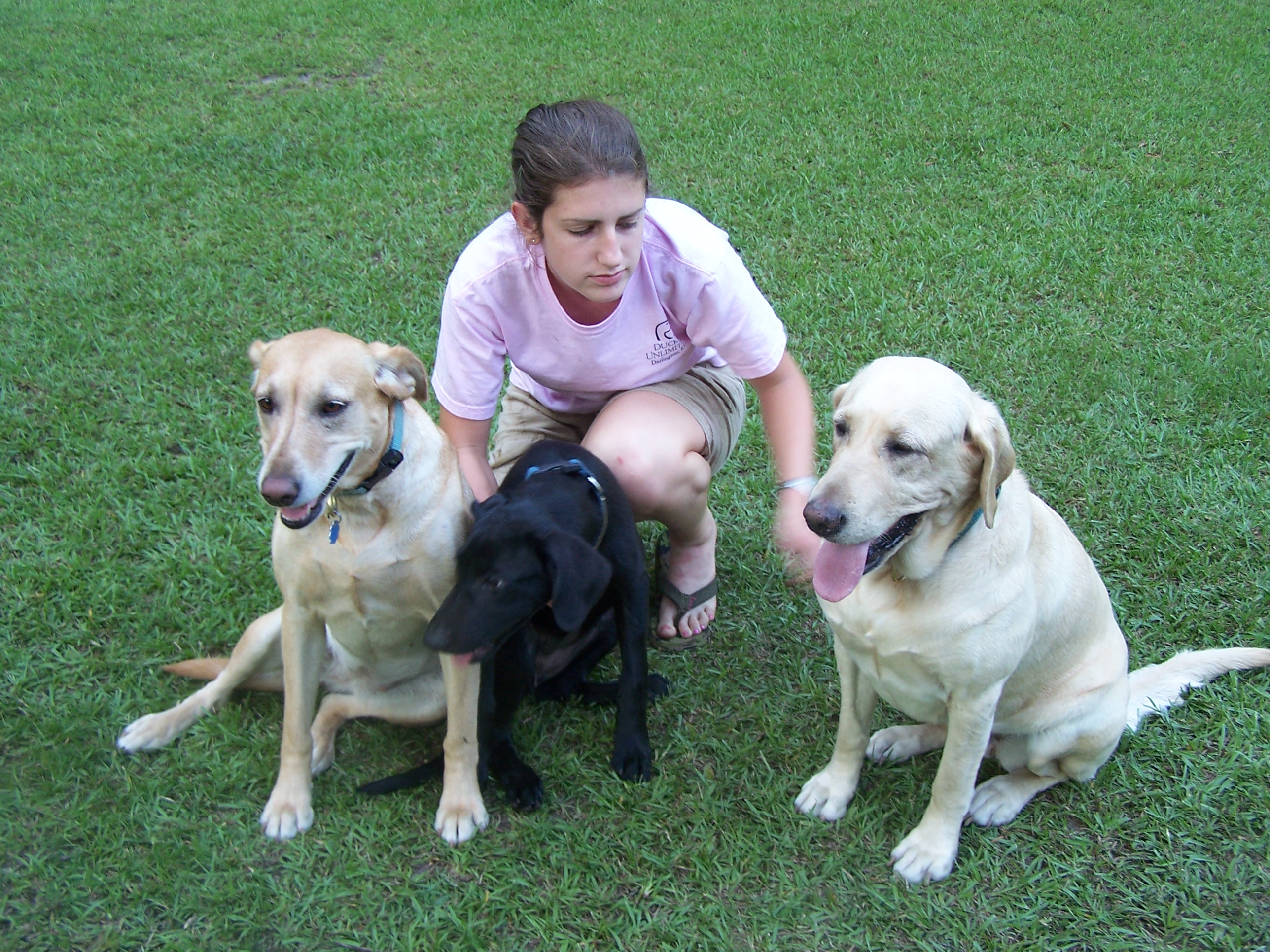 Honey, Lick, Sue and Laura Frances